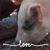 Tank Lockhart's profile image