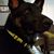 Jennifer Schorr's profile image