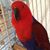 Liz Johnson-Mcintyre's profile image