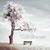 Sabrina House Stutzman's profile image
