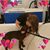 Halie Mae's profile image