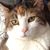 Janice Peret's profile image