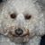 Bettye J. Johnson Boggs's profile image