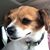 Kathy Yenter's profile image