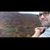 Adam E Partin's profile image