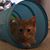 JuliBeth Brownell's profile image