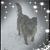 Cristal Stout Sparks's profile image