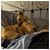 Barbara Reiber Strobino's profile image