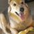 Paula Poultney's profile image