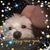 Amy Wyles's profile image