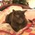 Martha Ciattei's profile image