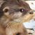 Tricia Martin Kob's profile image