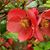 Rosemarie Reed's profile image