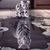 Anna Lee Becker's profile image