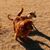 Stephen Meade's profile image