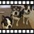 Karla Holland Mordica's profile image