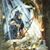 Jose A. Negron's profile image