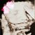 Alfonso N Francis's profile image