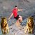 Serafin Rodriguez's profile image