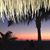 Connie Marie Owens's profile image