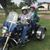 Mickie Walker Dilliard's profile image