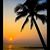 Bev Hyneman Hensley's profile image