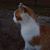 Laura Lien's profile image
