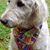 Barbara Sanderson's profile image