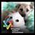 Karen Burdette Smith-Steffy's profile image