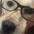 Sandy Kelham Bishop's profile image