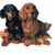 Marilyn MacDiarmid Sossamon's profile image