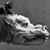 Josh Calleros's profile image
