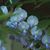 Deb DeForest's profile image
