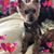 Jacque Brink's profile image