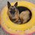 Tiwona Ogan's profile image
