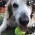 John Mairs's profile image