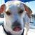 Matthew Beaudoin's profile image