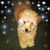 Diana Rieve's profile image