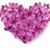 Dian Donaldson Johnson's profile image