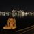 Stacy Ann Williams's profile image