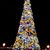 Elaine Lottinger's profile image