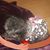 Bonita S. Pursel's profile image
