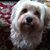 Donna Devine's profile image