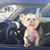 Latanya Meadors's profile image