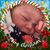 Debra Corsetti Hockenhull's profile image