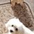 Doreen Pangman's profile image