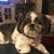Kathy Murchison's profile image