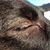 Benjamin Reid Baumeister's profile image