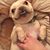 Megan Painley Risser's profile image