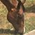 Denise N Harry Stiles's profile image